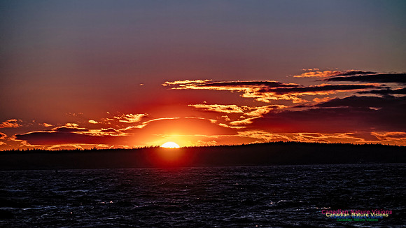 Peggy's Cove Sunset 906