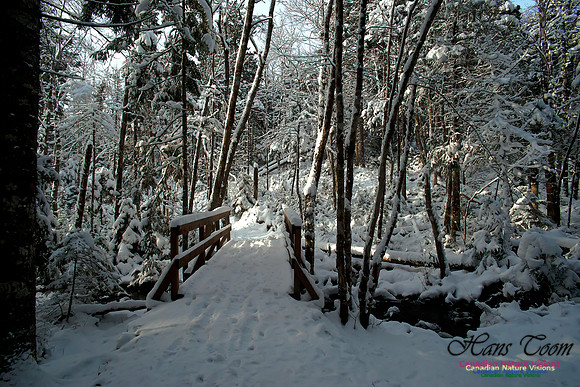 Bell Park in Winter
