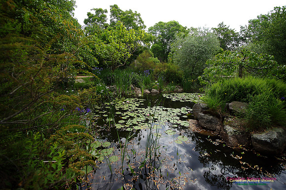 Annapolis Royal Historic Gardens