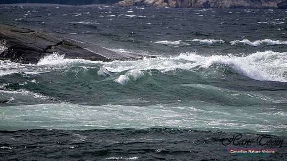 Coastal Tour 108