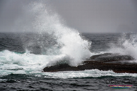 Nova Scotia Winter Scenes 117