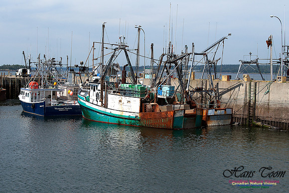 Dennis Point Fishing Fleet