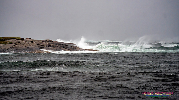 Nova Scotia Gale 2024-09-07 181