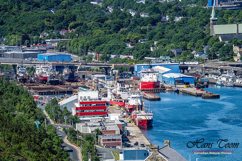 St. John's, Newfoundland 105
