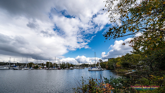 Sambro Loop 109