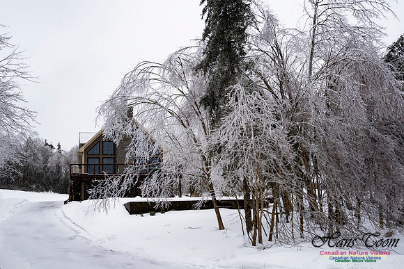 Ice Storm 2022 101