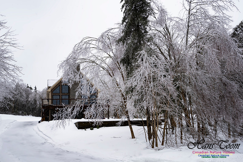 Ice Storm 2022 101