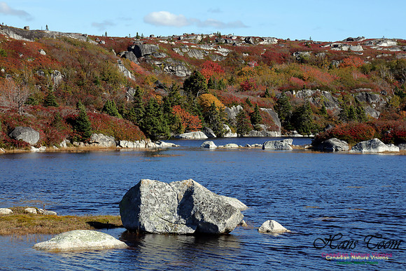 CoastalBarrensFall2016-1009