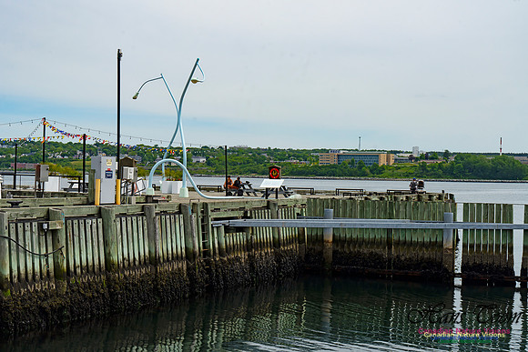 Halifax Waterfront Stroll 132