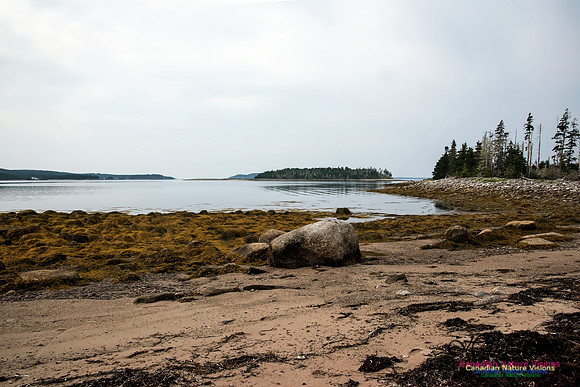 Troop Island Shoreline at the South Shore Beach