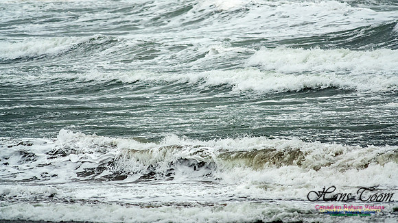 Martinique Beach Gale 104
