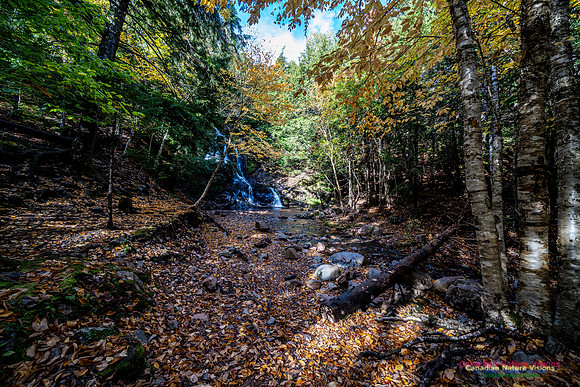 Wentworth Falls Trip 116