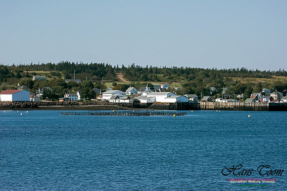 Westport, Brier Island