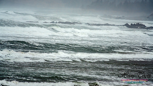 Martinique Beach Gale 109