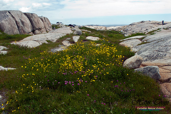 Peggys Cove