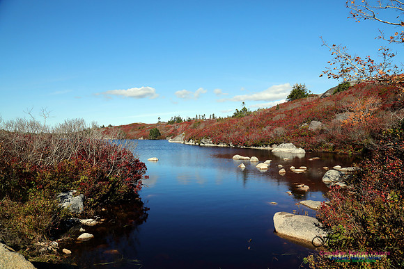 CoastalBarrensFall2016-1019