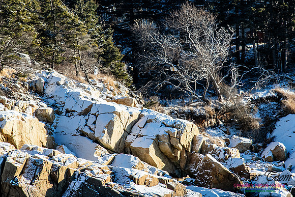 Nova Scotia Winter Scenes 101