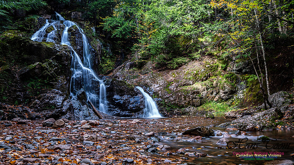 Wentworth Falls Trip 108