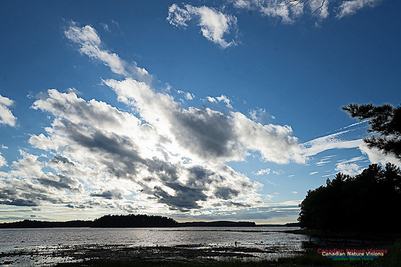 Kejimkujik Lake Sunset 113