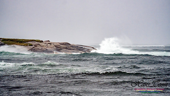 Nova Scotia Gale 2024-09-07 145