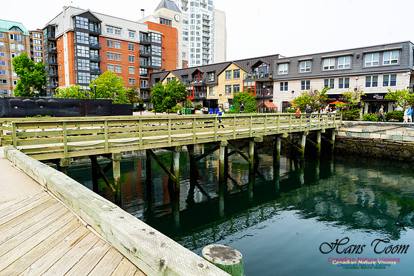 Halifax Waterfront Stroll 133