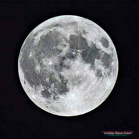 August 17, 2024 Supermoon 103