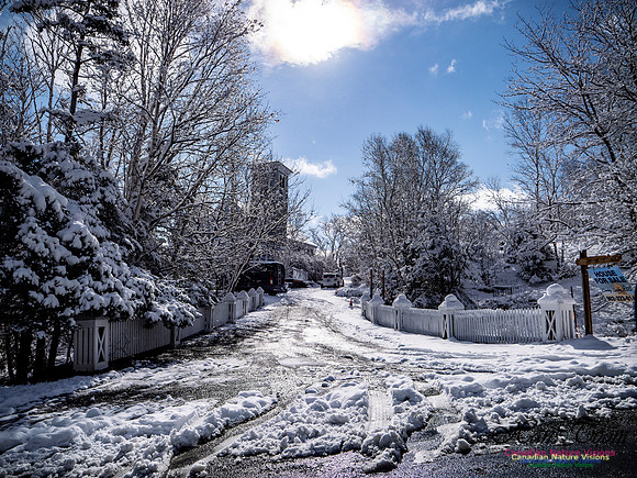 April Snow in Nova Scotia 228