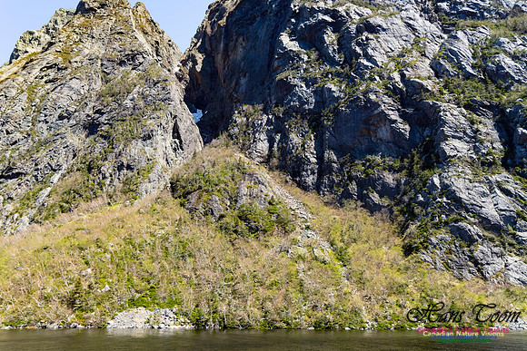 Western Brook Pond 142