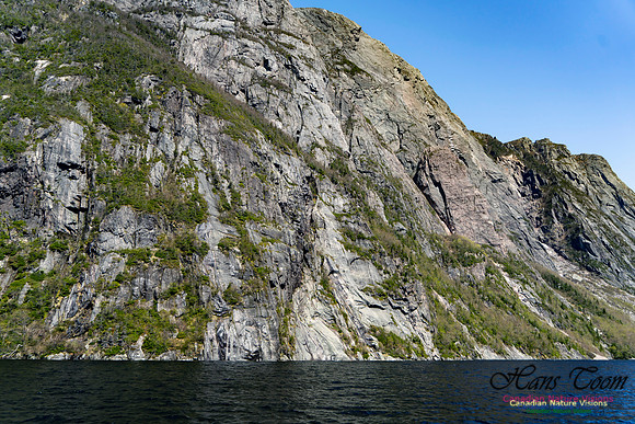 Western Brook Pond 148