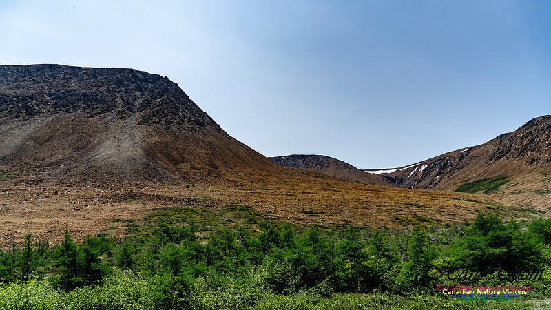 Table Mountains 135