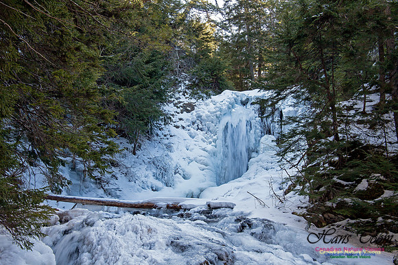 Butchers Falls Frozen