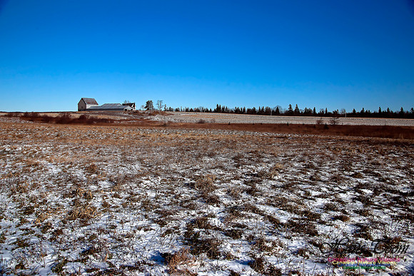Country Farm in Winter