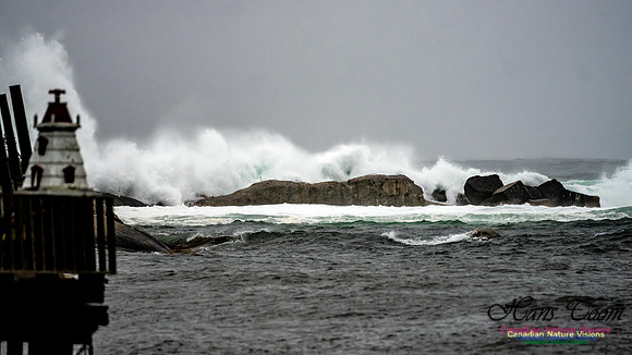 Nova Scotia Gale 2024-09-07 194