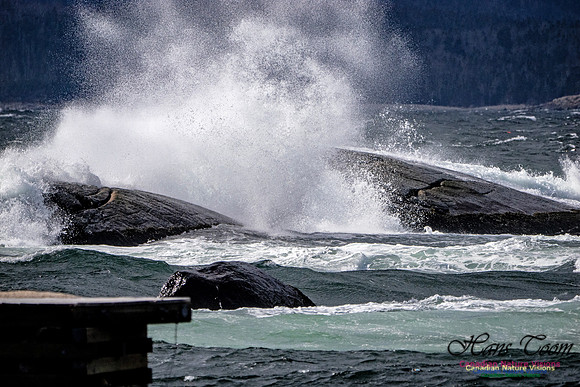 Coastal Tour 106
