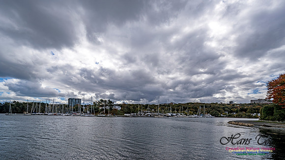 Sambro Loop 105