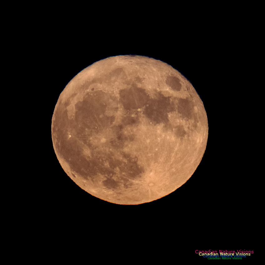 Supermoon2016(0)-1002