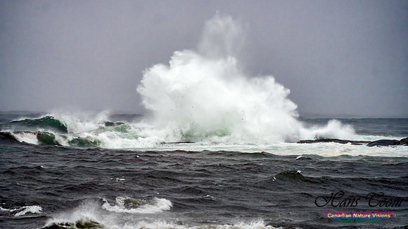 Nova Scotia Gale 2024-09-07 140