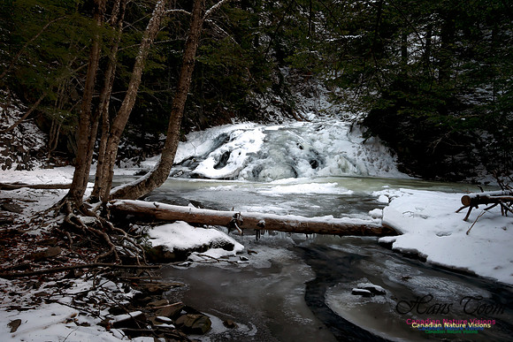 Butchers Creek