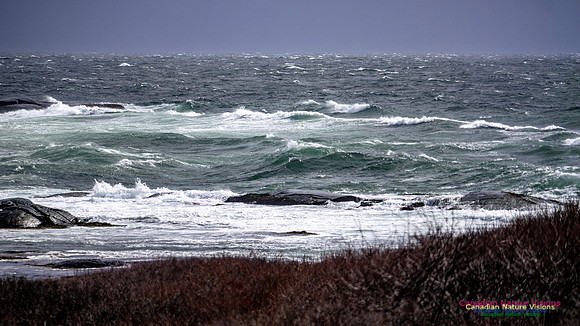 Coastal Tour 132