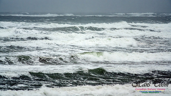 Martinique Beach Gale 106