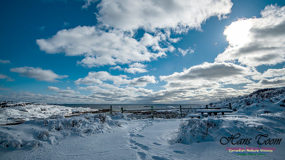 Peggys Cove Post Snow Storm 115
