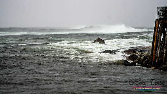 Nova Scotia Gale 2024-09-07 201