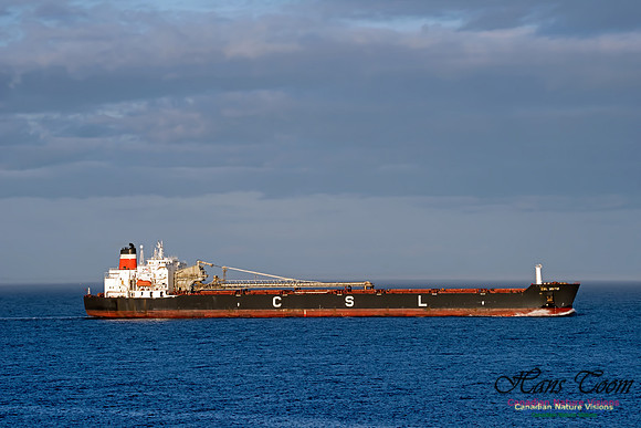 CSL Metis