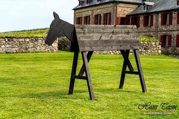 Fortress of Louisbourg 110
