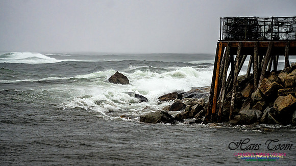 Nova Scotia Gale 2024-09-07 195