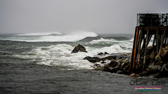 Nova Scotia Gale 2024-09-07 198