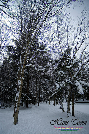 Christmas Day 2024 123