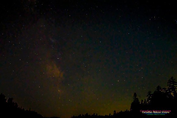 Night Sky Above Rees Lake 102