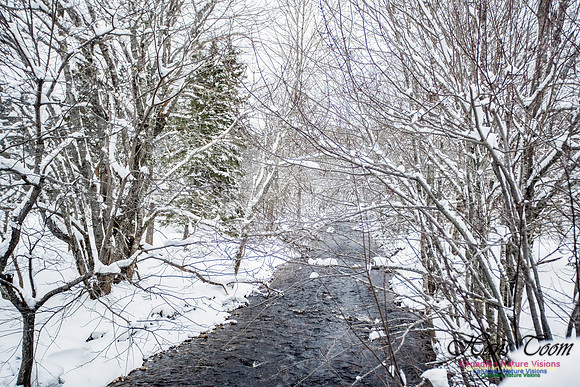 December Snow Scenes in Nova Scotia 105