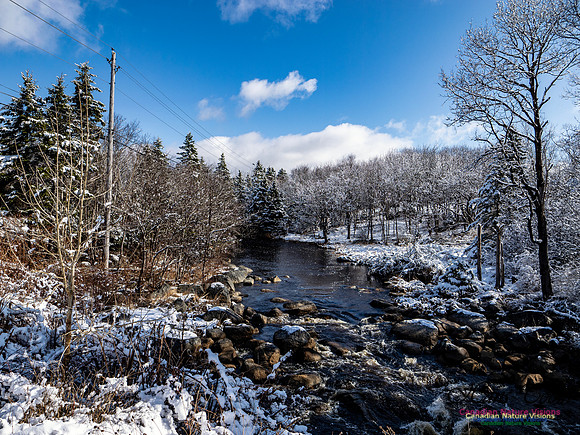 April Snow in Nova Scotia 219